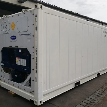 Container frigorifique maritime Reefer 20 Pieds