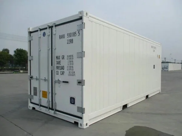 Container frigorifique 20 pieds reefer neuf